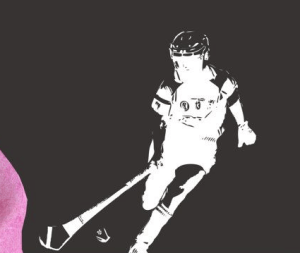 For the house that has everything, but missing that little something - a camogie decal to brighten up even the darkest of places